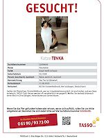 Katze Tinka aus Fürstenfeldbruck vermisst seit 11.06.2022