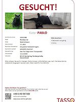 Kater Pablo vermisst seit 13.12.2025 Germering
