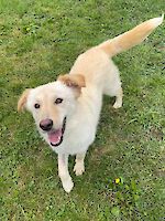 Elly ( geb. 02.03.2024 ) sucht ihr Traumzuhause!