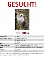 Tinka – vermisst seit 05.05.2015 in Eichenau