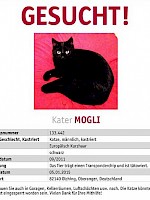 Mogli – vermisst seit 05.01.2015 in Oberanger in Olching/Geiselbullach