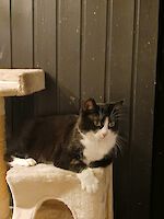 Mia und Felix, 10 Jahre alt