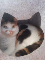 Lotti und Schorschi (6 Jahre alt)